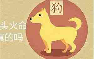 94年属狗是什么命