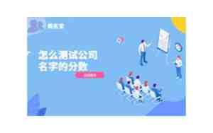 公司名称查询测试分数