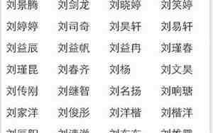 刘辩是谁的后代