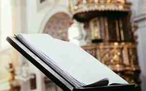 公司取名带欣字