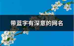 两个字意义深的网名