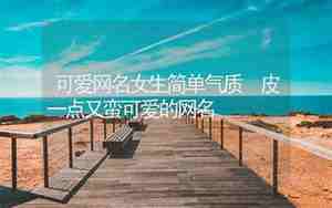 可爱的网名女生版