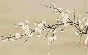 乔姓宝宝起名带含义的