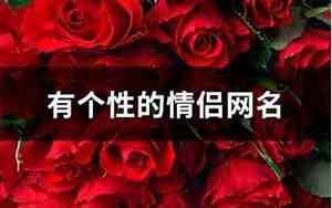 个性的情侣网名，个性的情侣网名英文
