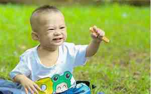 厂房公司名称布置图