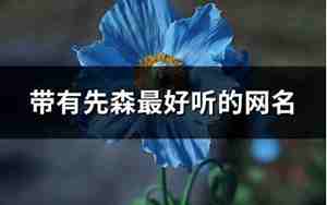 先森网名,关于先森的霸气网名两个字