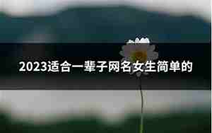 一辈子的网名,一辈子的网名女生霸气