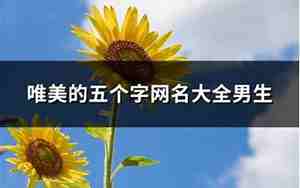 含义网名大全,含义网名大全男生两个字