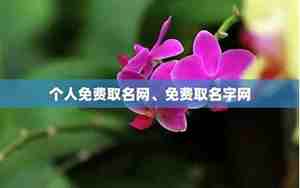 取名字大全免费的男孩子