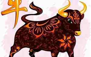 97年的牛是什么命