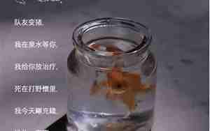 带糖的网名有哪些