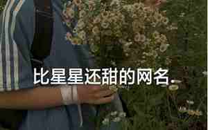 带有星的网名两字
