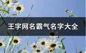 航海王好听名字