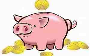 71年的猪是什么命