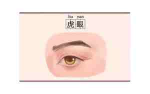 虎眼面相男人 图片