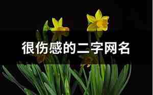 很伤感的二字网名