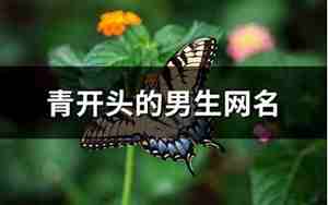 青开头的网名,青开头的网名文雅一点
