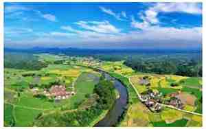 生态环保公司起名