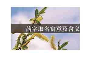 茜字取名寓意,茜字取名寓意好吗女孩