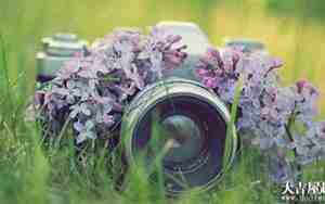 单身男网名大全火网名男