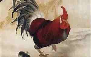 2005年的鸡是什么命