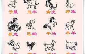 十二生肖取名,十二生肖取名寓意好吗