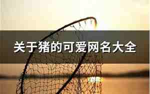 关于猪的网名 可爱