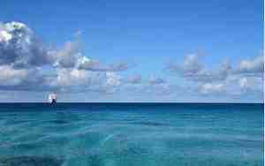 100分宝宝取名，100分宝宝取名的寓意