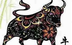 一九八五年的牛是什么命