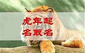 丑时出生属虎的男孩命好吗