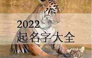 22年女性虎宝宝名字，年虎年女宝宝名字大全