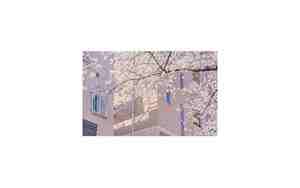 QQ有气质网名女，qq有气质的网名