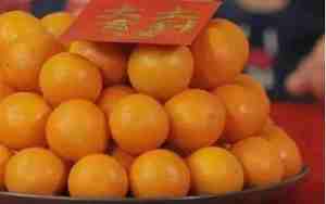 桔取名什么意义