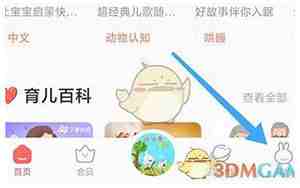 火兔取什么名字好