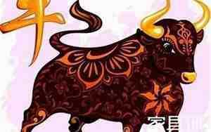 1997年属牛是什么命