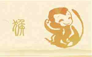 2016年属猴的是什么命