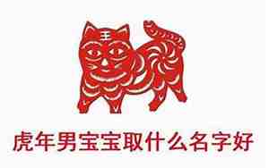 虎宝宝奕字取名