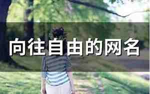 关于自由的网名女生
