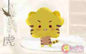 七四年属虎的是什么命缺什么