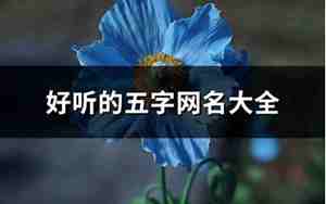 好听五字网名唯美网名