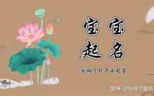 姓徐属兔男孩气质高贵名字