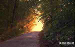 唯美的带淑字的网名