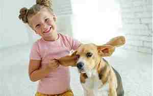 属羊的宝宝取名字宜忌