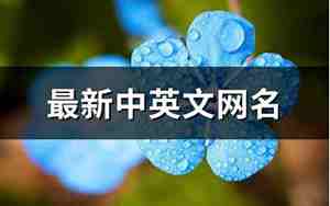 中英文网名,中英文网名最新版女生