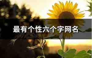 六字网名大全好听的