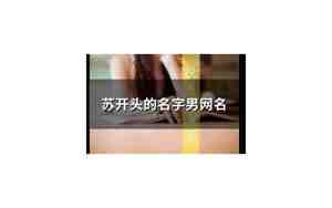 苏字开头的网名二个字