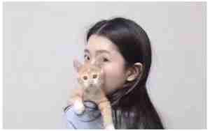 2018微信网名经典，2019微信网名