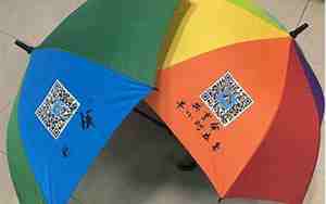 共享雨伞的项目名称