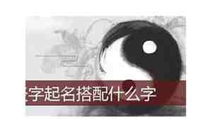 带焱的公司名字