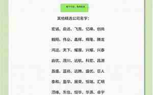 光鑫光电有限公司